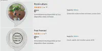 Alexa Skills